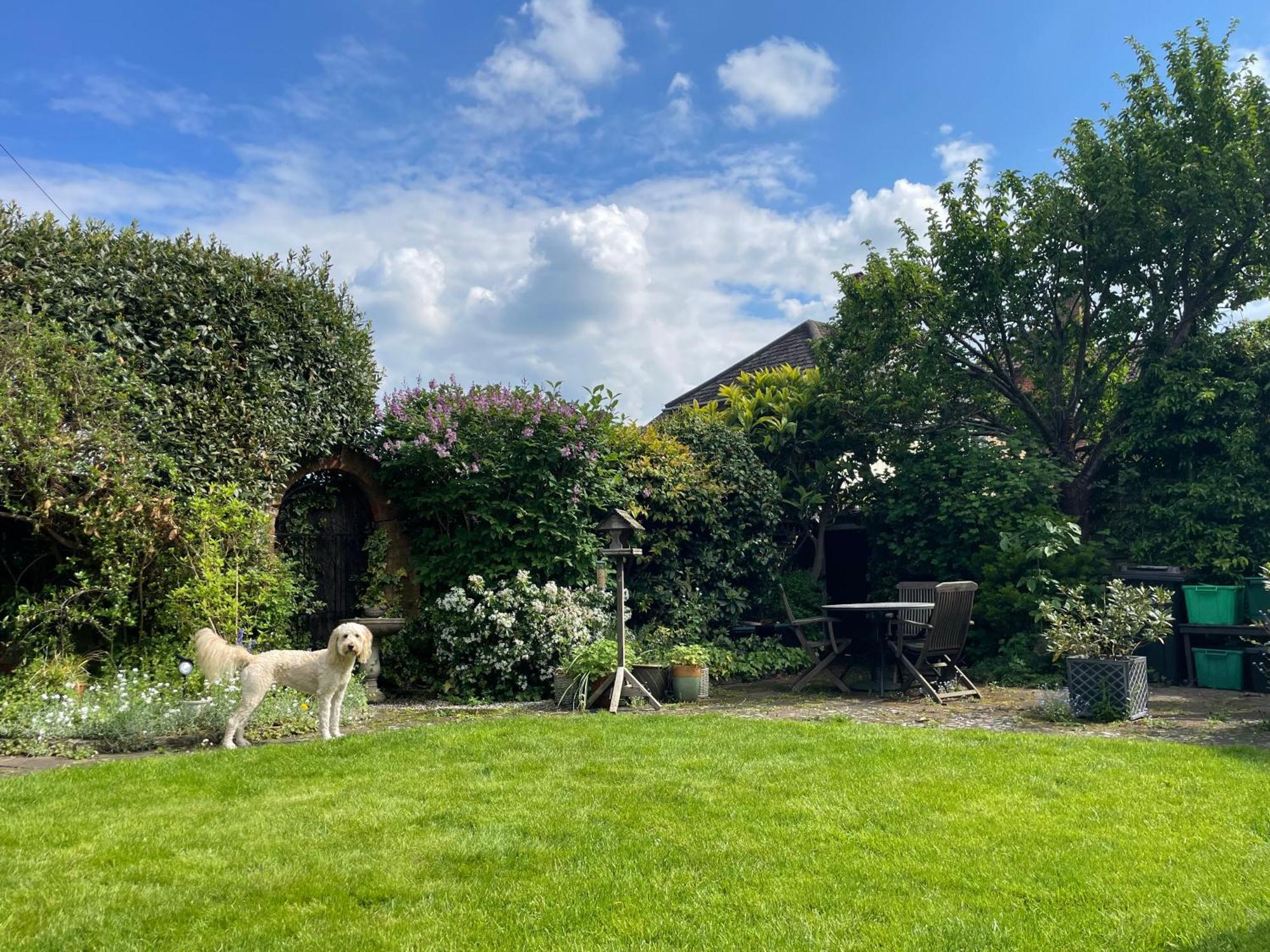 Clay Farm Guest House Bromley Exterior photo